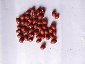 Bambare Nuts (Red)